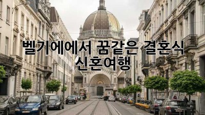 벨기에에서 꿈같은 결혼식 & 신혼여행
